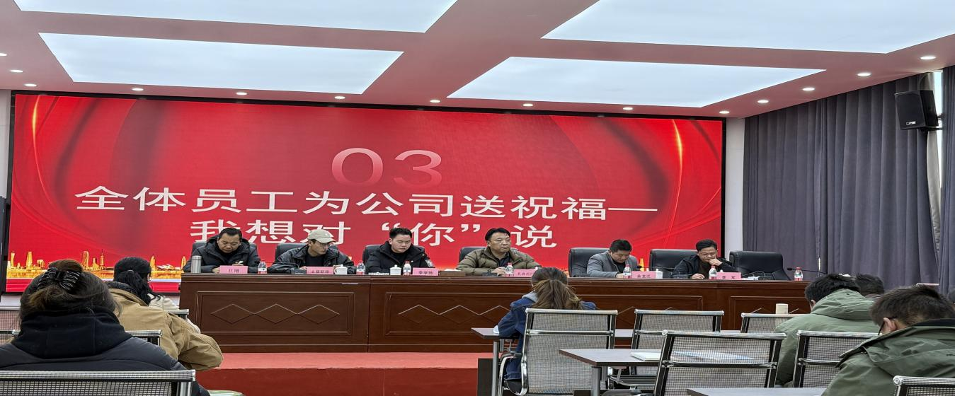 色尼区精瑞城投建设有限公司复工动员部署大会(图2)